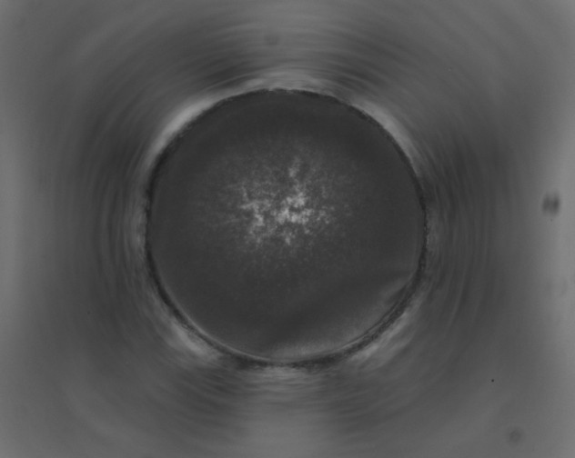 X0000094941115200712131554