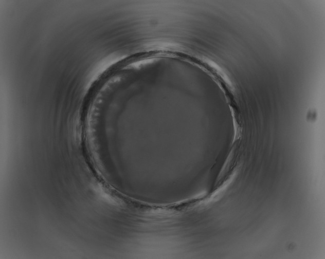 X0000094941117200712131554