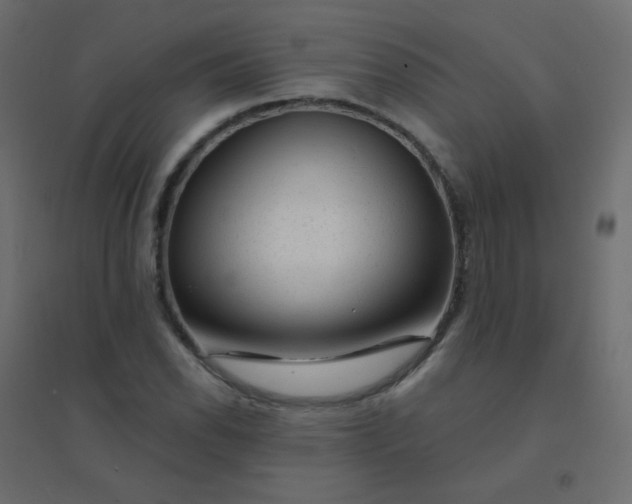 X0000094941118200712131554