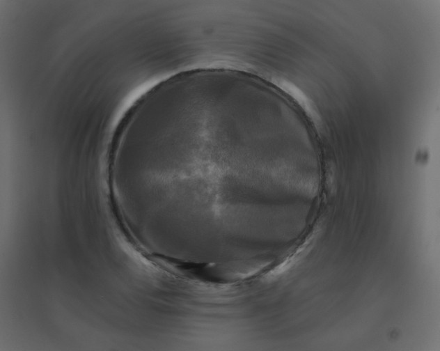 X0000094941120200712131554