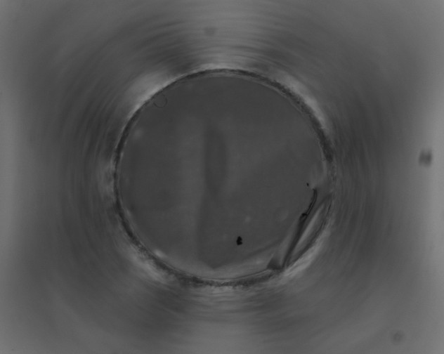 X0000094941121200712131554