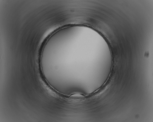 X0000094941122200712131554