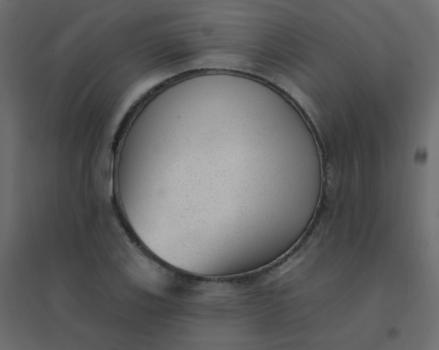 X0000094941123200712131554