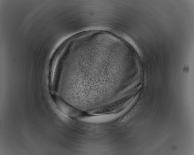 X0000094941124200712131554