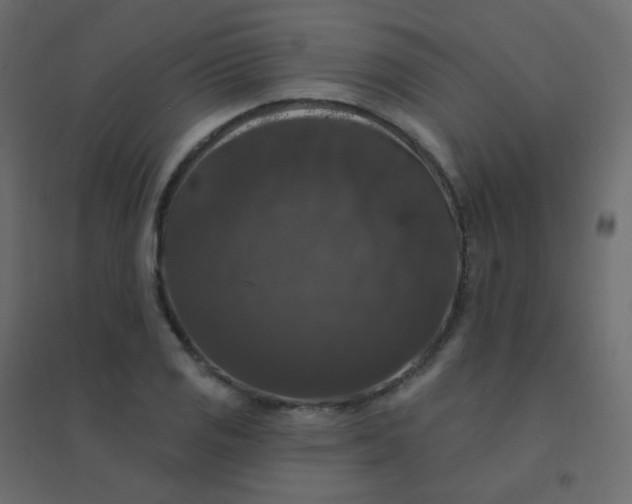 X0000094941125200712131554