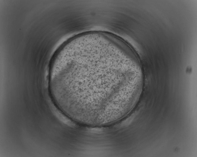 X0000094941126200712131554