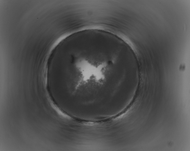 X0000094941127200712131554