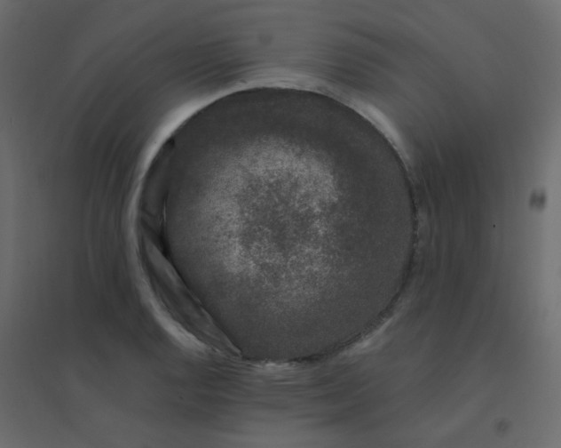 X0000094941128200712131554