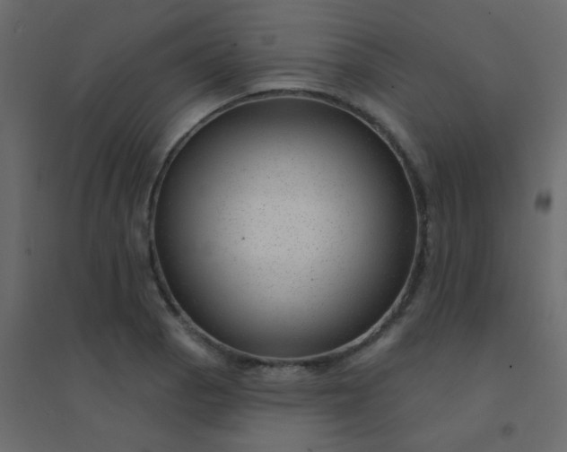 X0000094941129200712131554