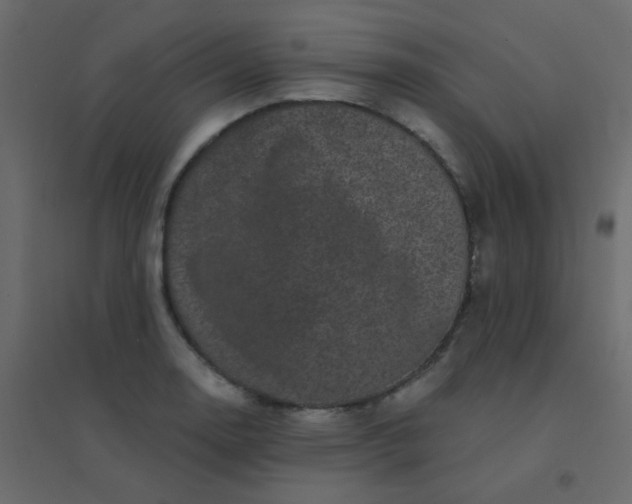 X0000094941130200712131554