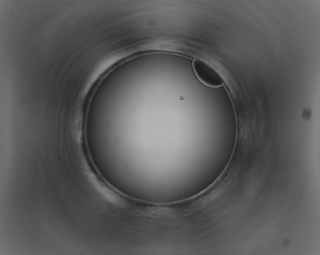 X0000094941131200712131554