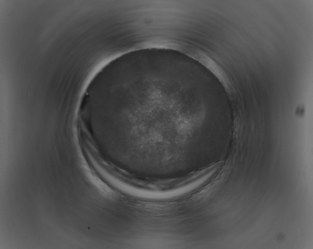 X0000094941132200712131554