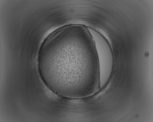 X0000094941133200712131554