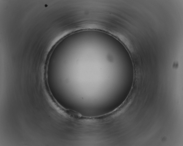 X0000094941134200712131554