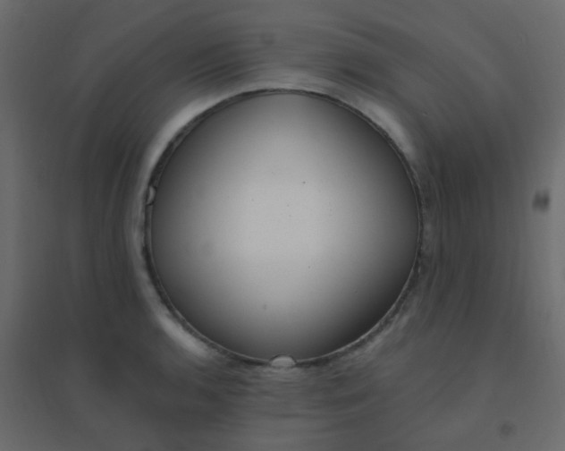 X0000094941136200712131554