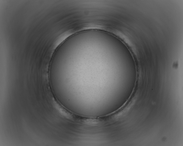 X0000094941137200712131554