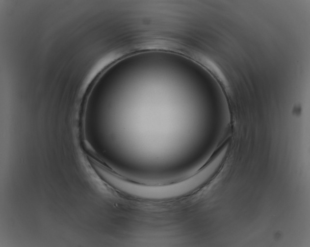 X0000094941138200712131554