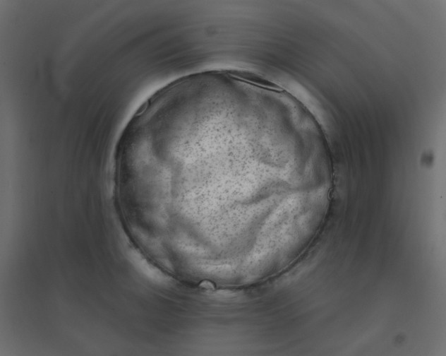 X0000094941140200712131554