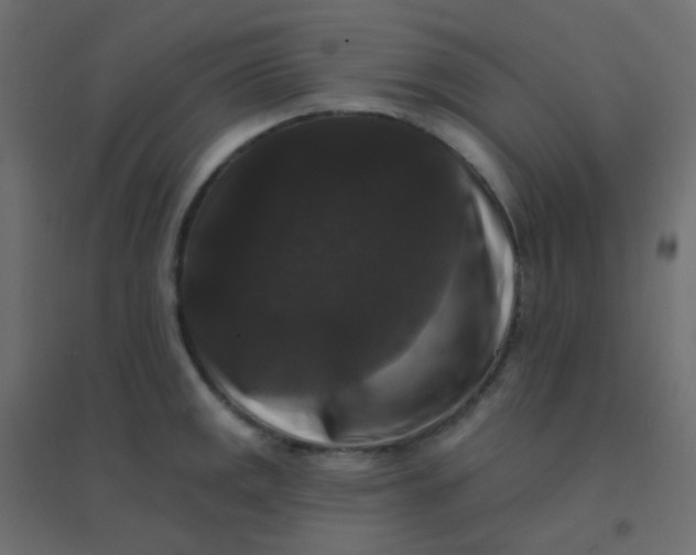 X0000094941141200712131554