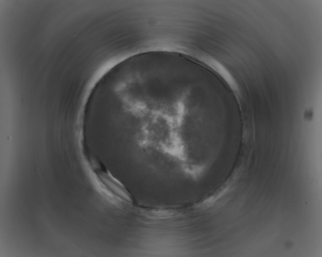 X0000094941144200712131554