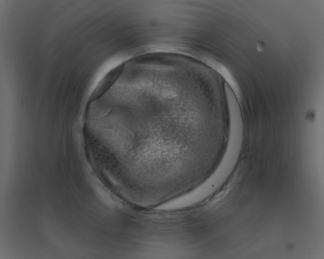 X0000094941146200712131554