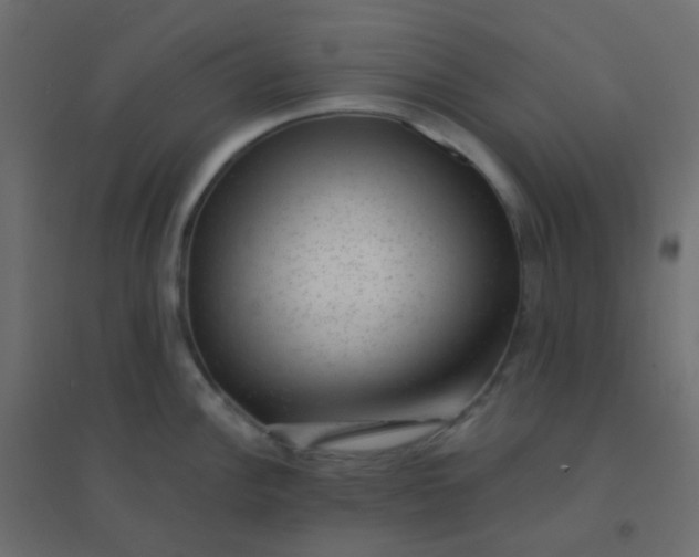 X0000094941148200712131554