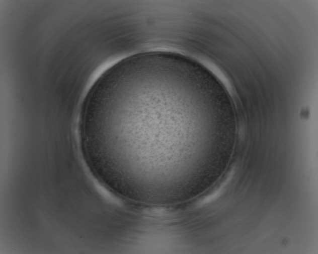 X0000094941149200712131554