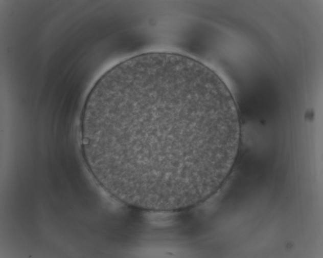 X0000094941150200712131554