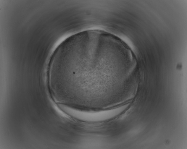 X0000094941151200712131554