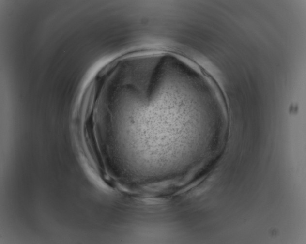 X0000094941152200712131554