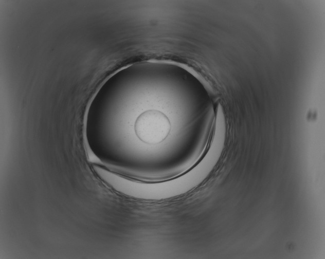 X0000094941153200712131553