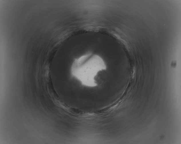 X0000094941154200712131553