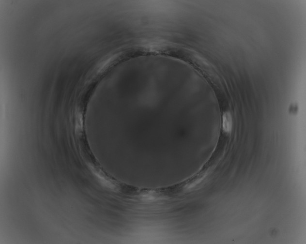 X0000094941155200712131553