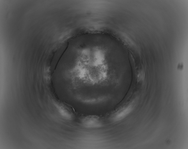 X0000094941156200712131553