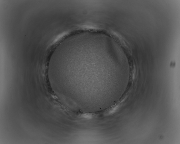 X0000094941157200712131553