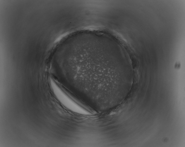 X0000094941158200712131553