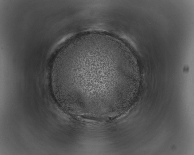 X0000094941159200712131553