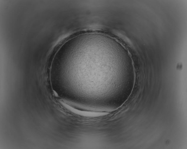 X0000094941160200712131553