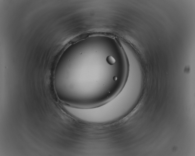 X0000094941161200712131553