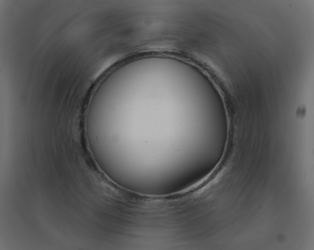 X0000094941162200712131553