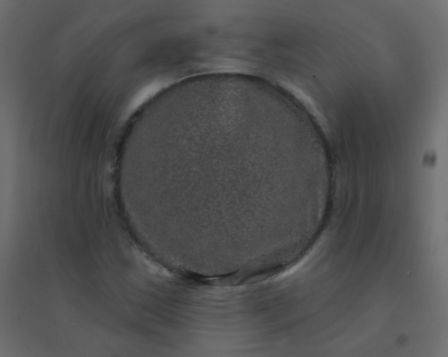 X0000094941163200712131553