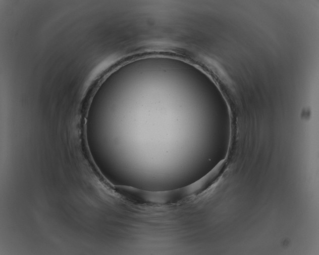 X0000094941164200712131553