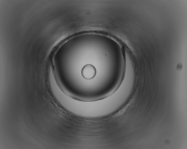 X0000094941165200712131553