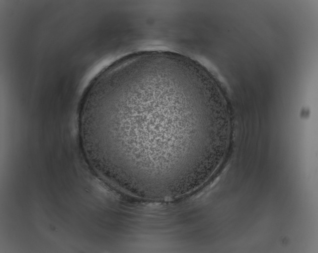 X0000094941167200712131553