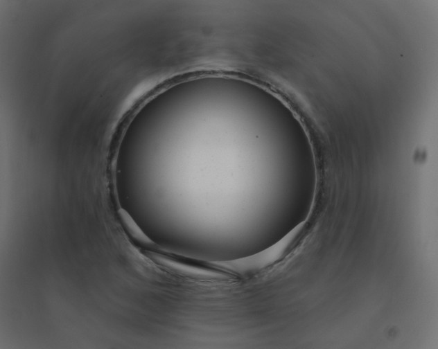 X0000094941168200712131553