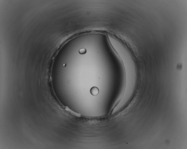 X0000094941169200712131553