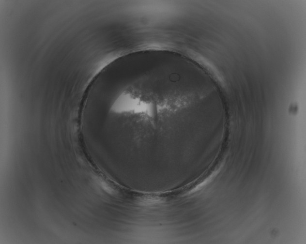 X0000094941170200712131553