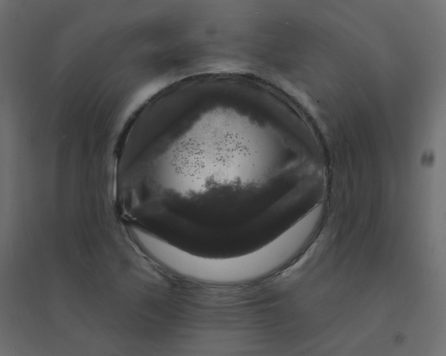 X0000094941171200712131553