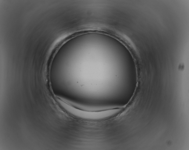 X0000094941172200712131553