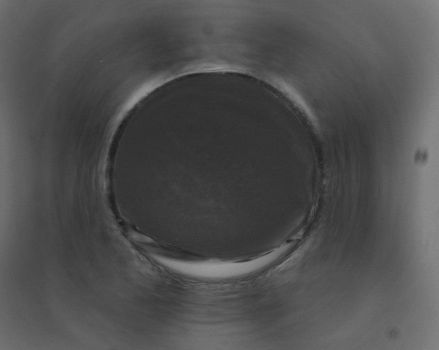 X0000094941173200712131553